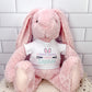 Sublimation Blank Bunnies – Plush Easter Gift for Crafting or Keepsakes