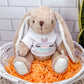 Stuffed Brown Bunny - with customizable t-shirt 