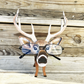 Deer eye glass holder