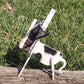 Cow Eyewear Stand