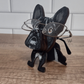 French Bulldog Eye glass Holder