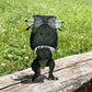 T-Rex Eyeglass holder stand