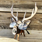 Deer eye glass holder