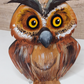 Owl Eye Glasses Holder